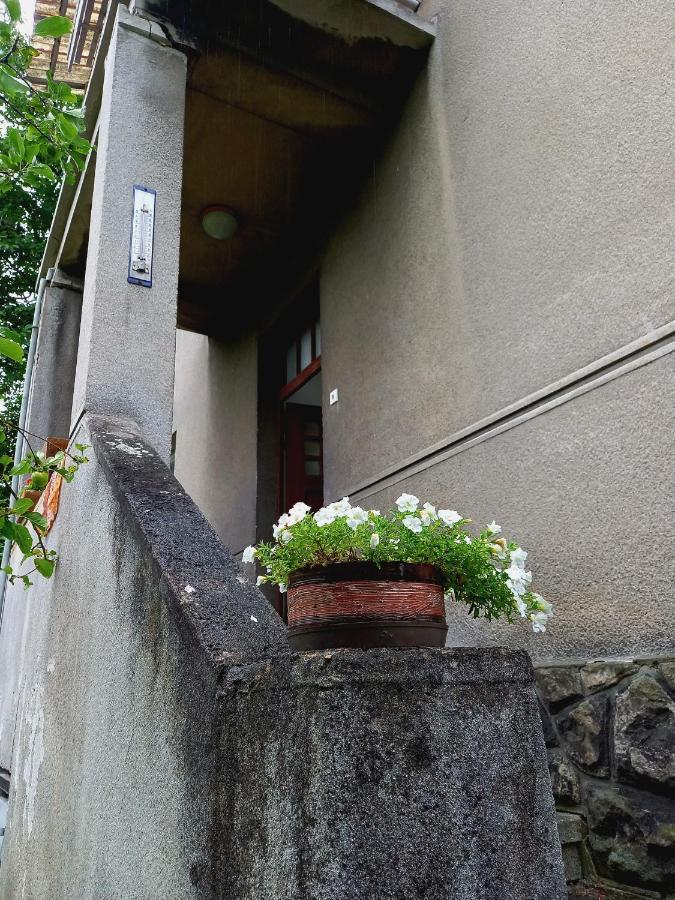 Vila Kotlarska Decin Ngoại thất bức ảnh